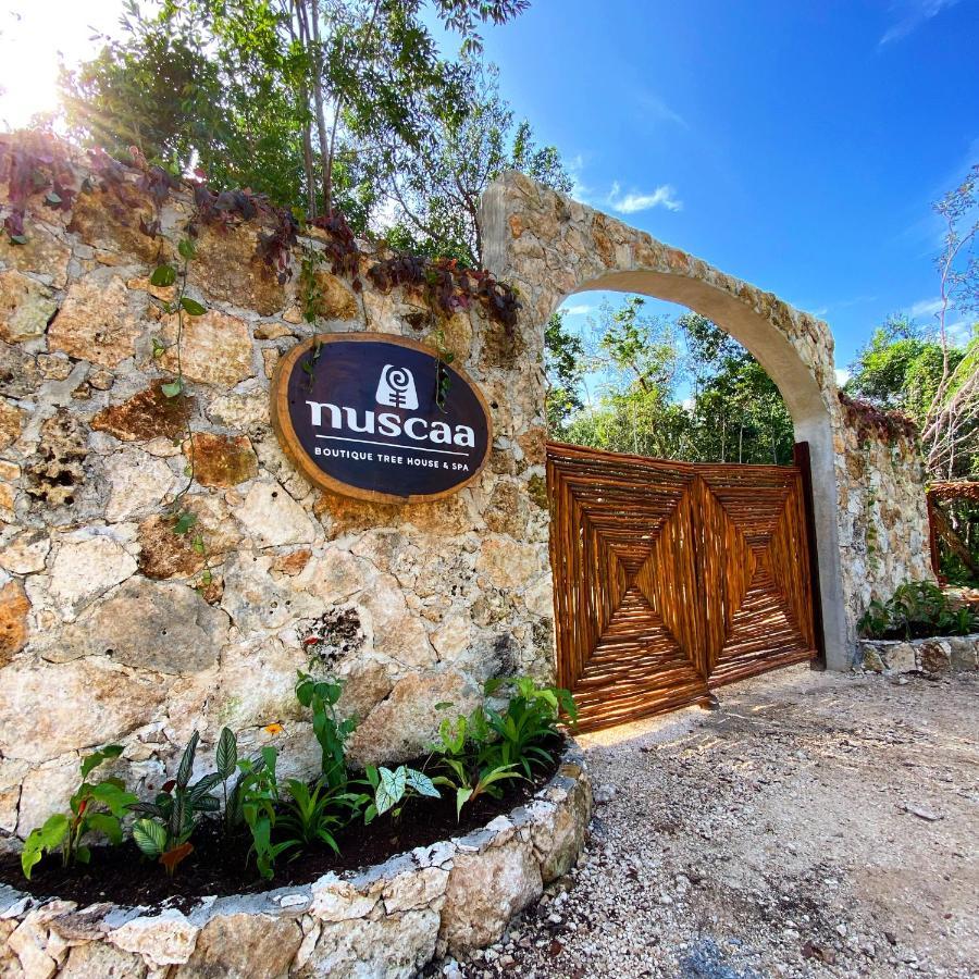 Nuscaa Boutique Tree House & Spa Hotel Пуерто Морелос Екстериор снимка