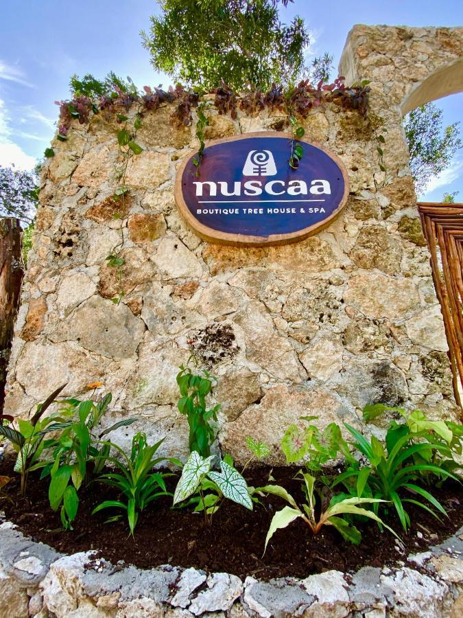 Nuscaa Boutique Tree House & Spa Hotel Пуерто Морелос Екстериор снимка