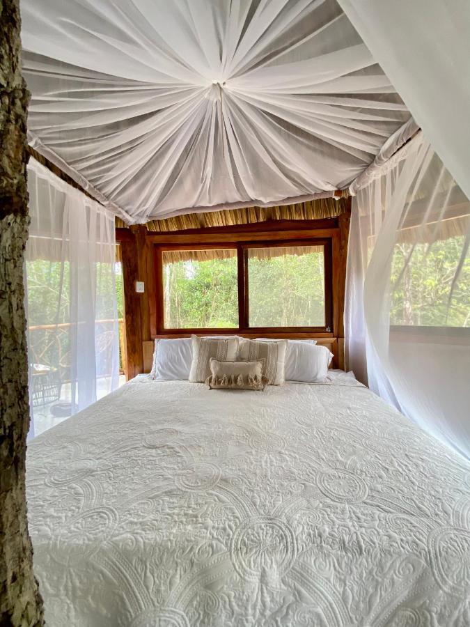 Nuscaa Boutique Tree House & Spa Hotel Пуерто Морелос Екстериор снимка