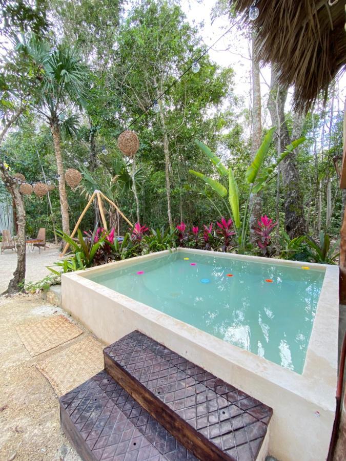 Nuscaa Boutique Tree House & Spa Hotel Пуерто Морелос Екстериор снимка