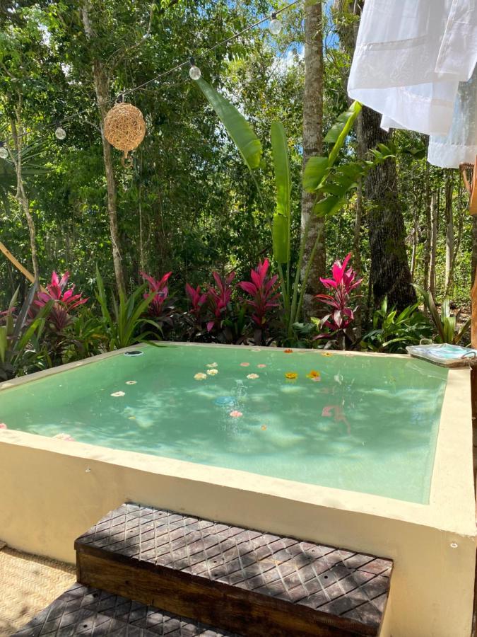 Nuscaa Boutique Tree House & Spa Hotel Пуерто Морелос Екстериор снимка