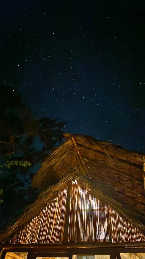 Nuscaa Boutique Tree House & Spa Hotel Пуерто Морелос Екстериор снимка